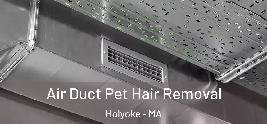  Air Duct Pet Hair Removal Holyoke - MA