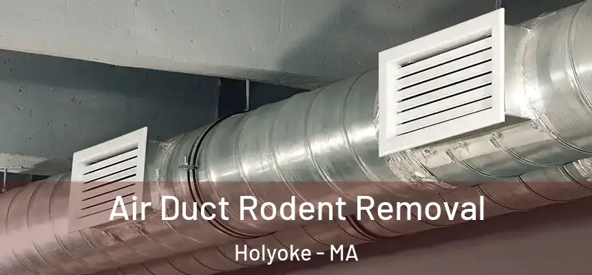  Air Duct Rodent Removal Holyoke - MA