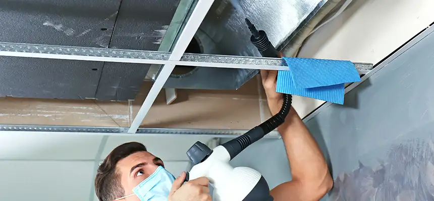 Our Air Duct Rodent Removal Services in Holyoke, MA
