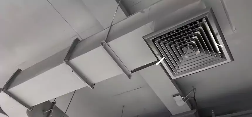 Restorative Allergy Relief Vent Cleaning – Coil, Blower & Housing Detail in Holyoke