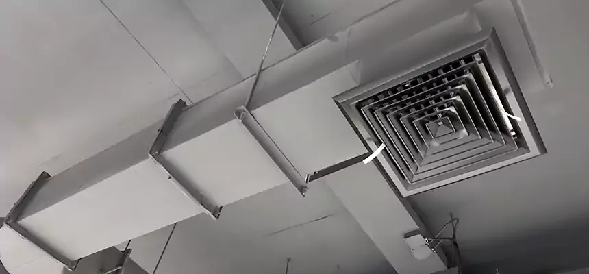 Our Pest Removal From Ducts Services in Holyoke, MA