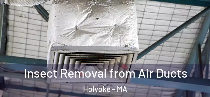  Insect Removal from Air Ducts Holyoke - MA