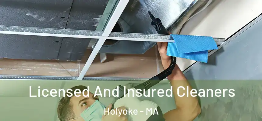 Licensed And Insured Cleaners Holyoke - MA