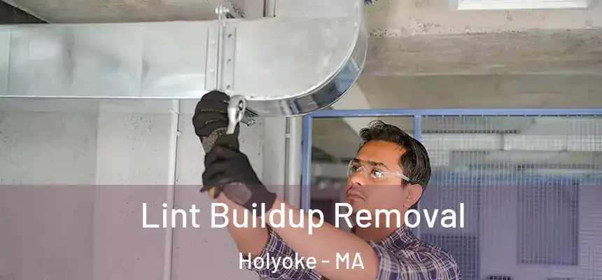  Lint Buildup Removal Holyoke - MA