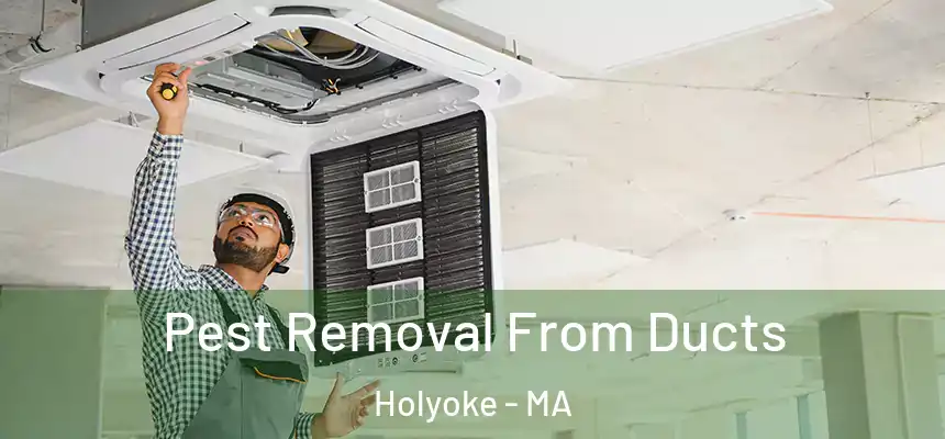 Pest Removal From Ducts Holyoke - MA