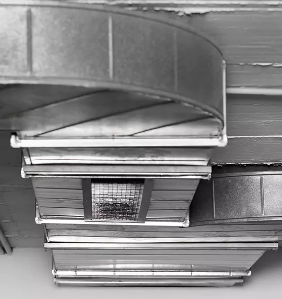 Professional Air Duct Pet Hair Removal in Holyoke, MA